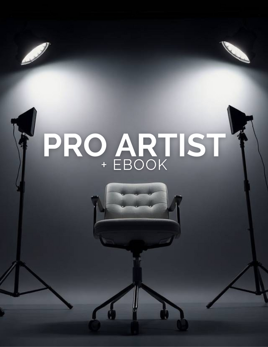 Private 1:1 Lesson - PRO Artist + Ebook
